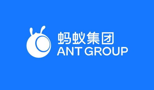 螞蟻集團(tuán)在渝成立數(shù)字天螞公司，注冊資本1億元加碼網(wǎng)絡(luò)技術(shù)服務(wù)